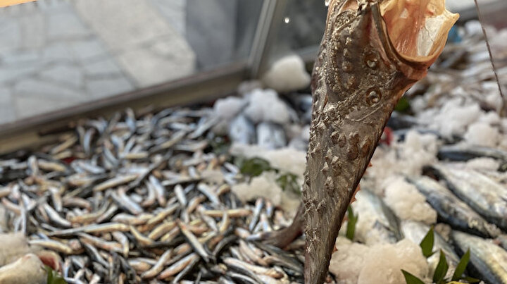 Av yasağı bitti: Hamsi yüzleri güldürdü palamut ise hayal kırıklığı yaşattı