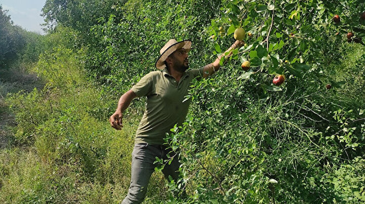 Yoldan geçen tüccar hayatını değiştirdi: Bozmayı düşünüyordum yüksek kazanç sağladım