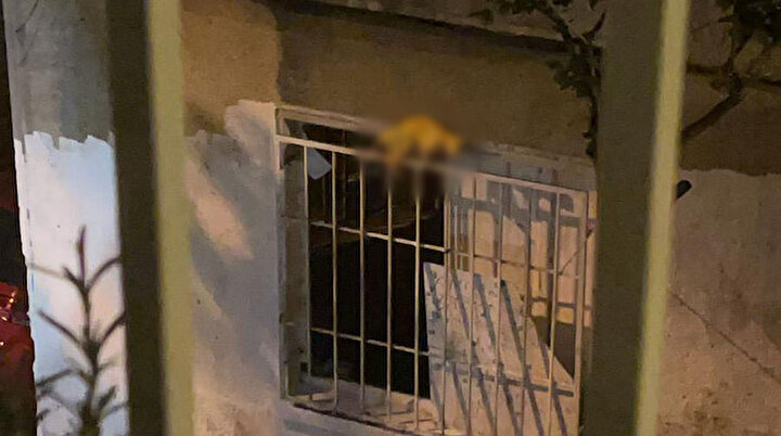 Şişlide tedirgin eden görüntü: Ölü kediyi boyayıp pencereye astı