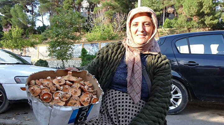 Dağlardan bin bir emekle getiriyorlar: Kazancı dudak uçuklatıyor