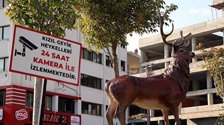 CHPli Bolu Belediyesinin geyik heykellerine kameralı takip
