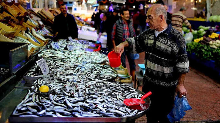 Balık bereketi yaşanıyor