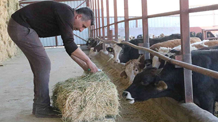 Muhtar TKDKdan aldığı destek ile köyünü tavuk ve besi çiftliğine döndürdü: Hayal bile edemezdik