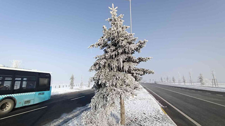 Erzurum buz kesti: Ağaçlar ve duraklar buz tuttu