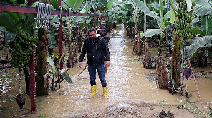 Antalyada ırmaklar ile dere taştı: İş yerleri ve tarım alanlarını su bastı