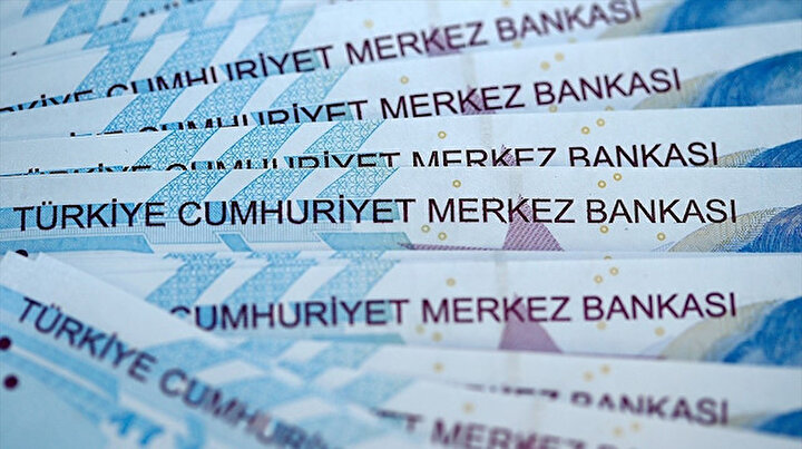 Dövize karşı mücadelenin şifresi: Liralaşma stratejisi