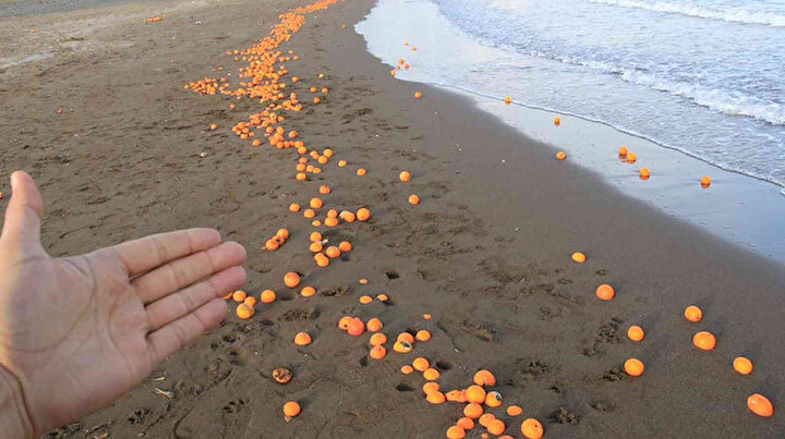 Mersinde sahil portakal doldu: Turistler şaşkına döndü