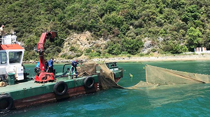 İstanbul Boğazındaki kaçak dalyanlar kaldırıldı: On binlerce balık kurtarıldı