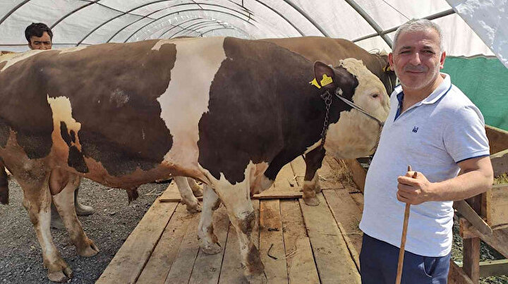 Pazarın gözdesi Ateş: 120 bin TL değerinde alıcısını bekliyor