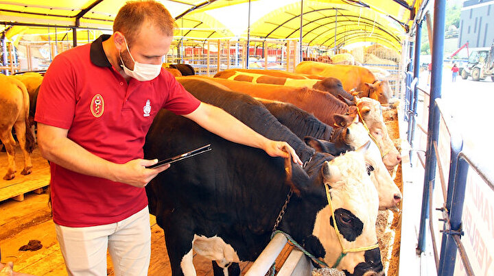 Kurban kesim fiyatları belli oldu