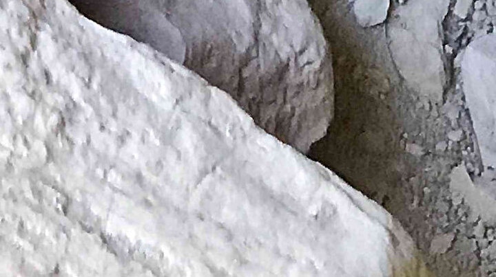 Tunceli’de fotoğraflandı: Isırığı 1 saat içinde öldürüyor