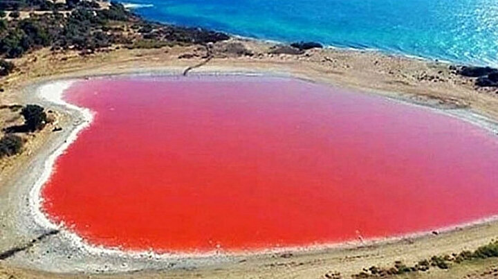 Dünyada sadece sekiz tane var: Biri Türkiyede