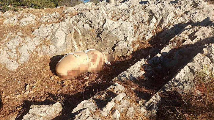 Kanlı paketten vahşet çıktı: Çocuk cesedine benzetilmişti