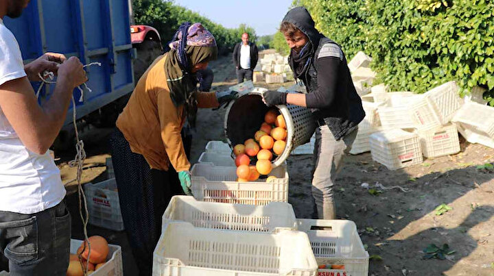 Hasadı başladı: Yüzde 90ı ihraç ediliyor
