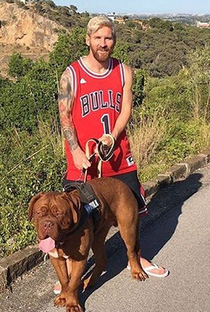 Messi Nin Kopegi Sosyal Medyayi Salladi