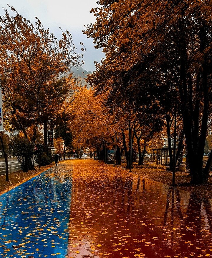 yeni safak