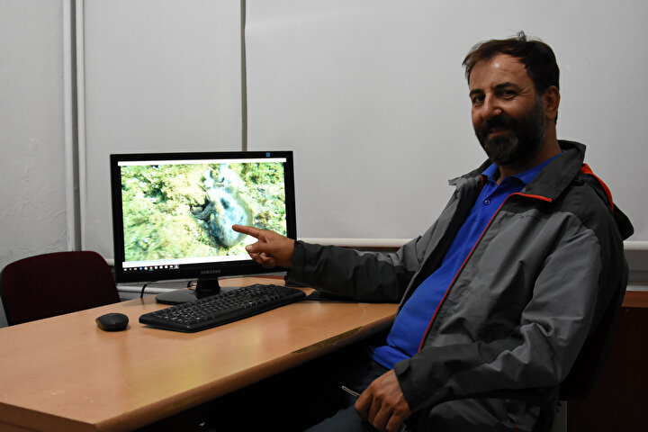 canakkale de ahtapot kendisinden 4 kat buyuk tavsani yerken goruntulendi yeni safak