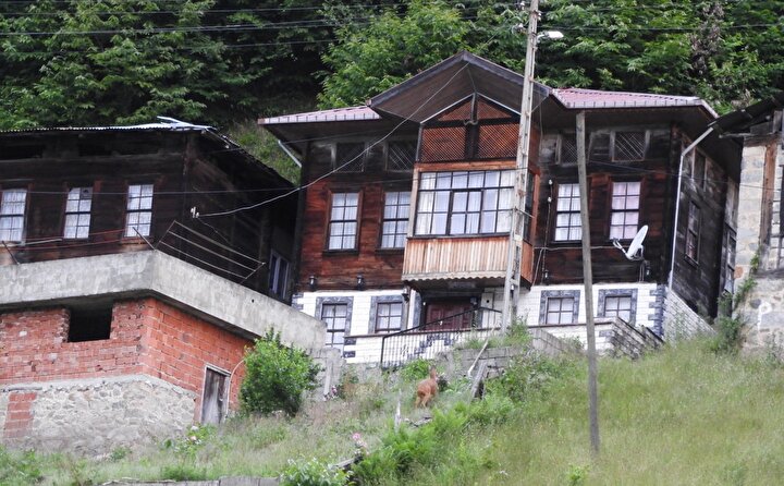 Rize De Mahalleye Inen Karacalar Goruntulendi
