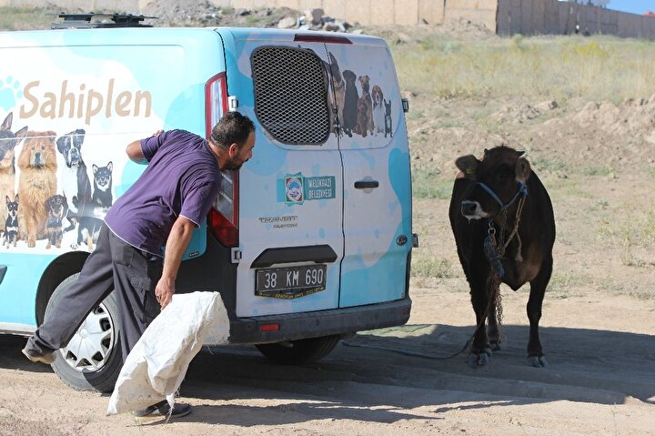 Bahçelievler Mahallesi’ne kadar kaçan ve burada boş araziye giren dana, zaman zaman tehlikeli anlar yaşattı. 