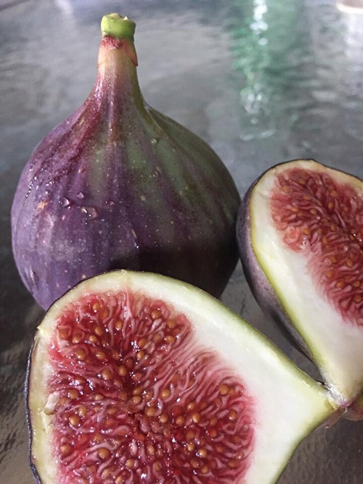 dunyada rakibi olmayan siyah incir avrupa pazarini fethediyor yeni safak