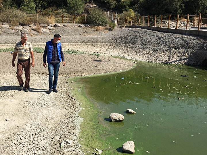 https www yenisafak com foto galeri gundem izmir bornovada simge proje homeros vadisindeki goletlerde baliklar kirlilik nedeniyle oldu 2042069