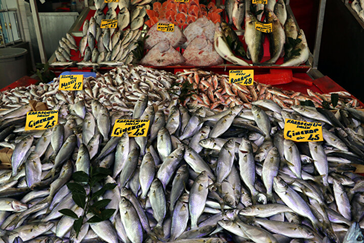 Balıkçılar hava sıcaklıklarının düşmesinin ise balığın yağlanmasını ve lezzetinin artmasını sağlayacağını ifade etti. 