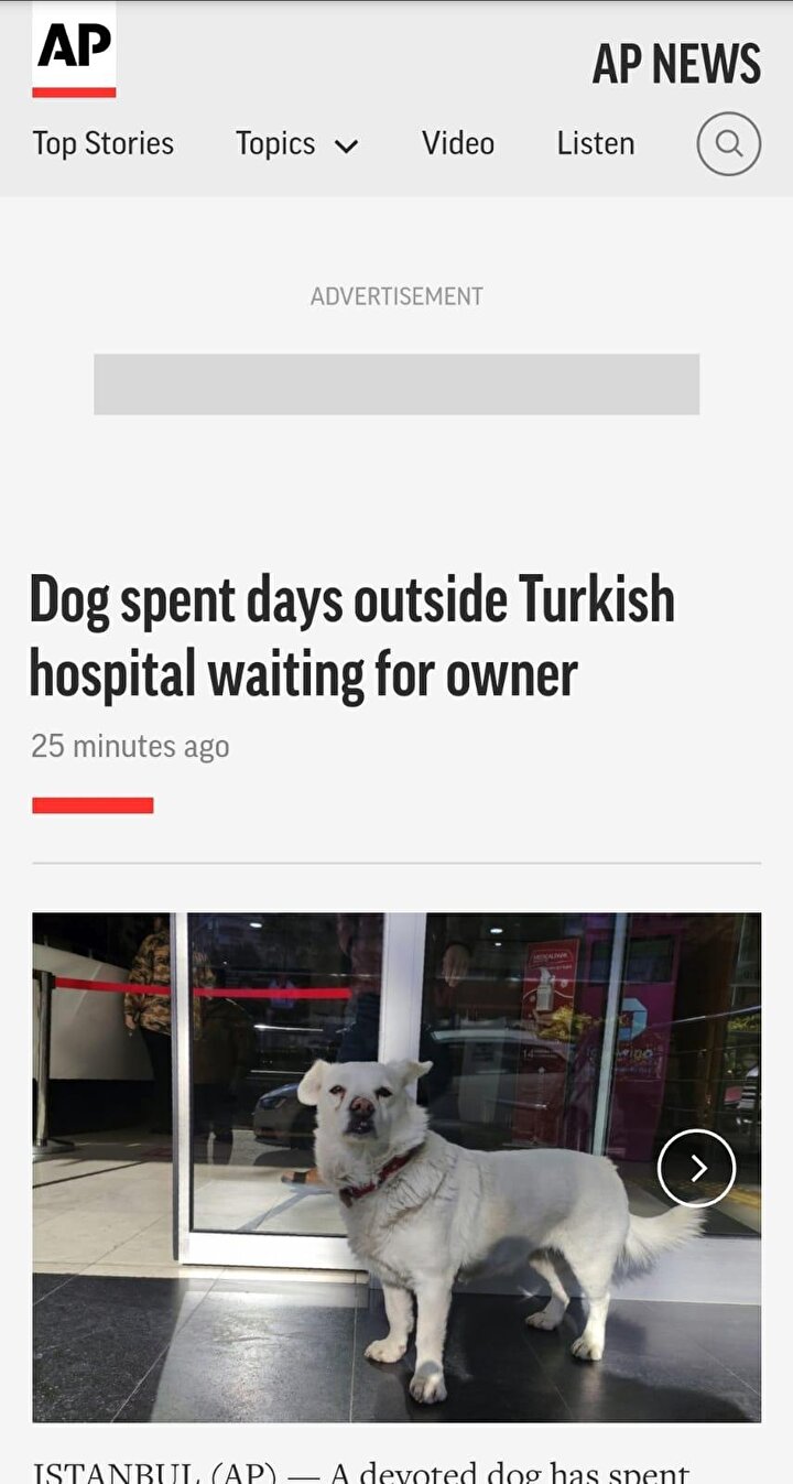 ABD’nin köklü gazetelerinden The Washington Post, Köpek sahibini günlerdir Türk hastanesinin önünde bekliyor başlığı ile haberi okurlarına aktardı. 