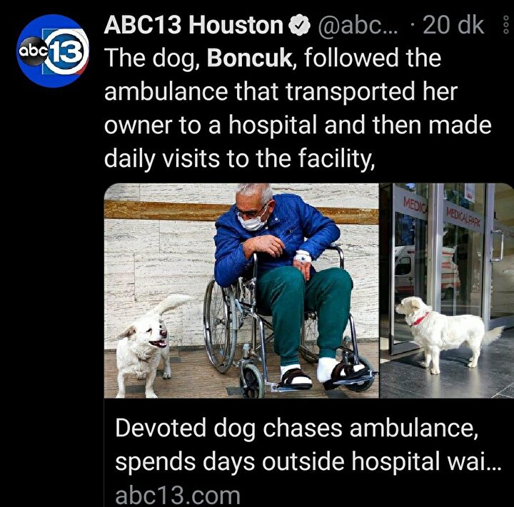  Sağlık durumu iyiye giden Şentürk’ün, tekerlekli sandalyeyle aşağı inip, bekleyişini sürdüren ve hastane çalışanlarınca beslenen köpeğiyle buluşması, duygusal anlara sahne oldu. Cemal Şentürk, 6ncı günde tedavisinin ardından taburcu olup evine döndü. 