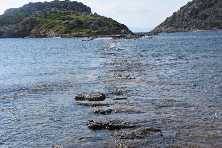 vatandaslar gormek icin bodrum a