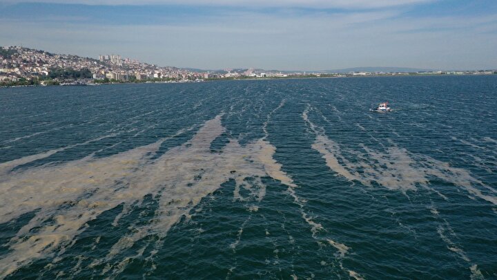 İzmit Körfezi'nden deniz salyası temizliği: Hem balıkçıların hem vatandaşın kâbusu olmuştu 4 23fbf0c2fc3646be94b33edbf66b819c