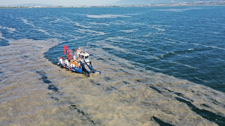 İzmit Körfezi'nden deniz salyası temizliği: Hem balıkçıların hem vatandaşın kâbusu olmuştu 2 6a933456fbc349b5a89f9a73c8a45a7f