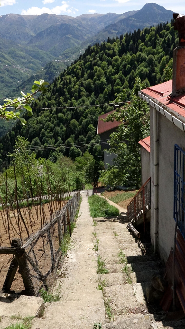 Komşuların 'inat merdivenleri': Aralarında 1 metre mesafede 2 merdiven yaptılar 8 95a2e0ea8ce643bebed9f02bb000d0b5