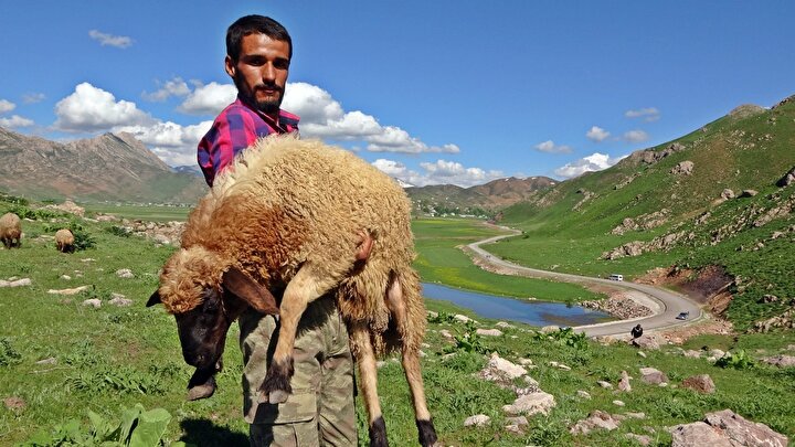 Göçerlerin yayla yolunda renkli yolculuğu 6 8e30890842143295