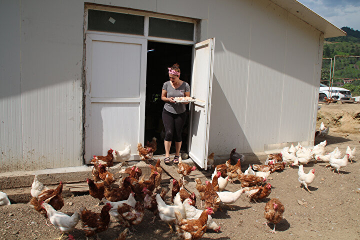 Ozledigi Koyune Donup Hayalini Gerceklestirdi Simdi Tavuk Ciftligi Var Yeni Safak Ozledigi Koyune Donup Hayalini Gerceklestirdi Simdi Tavuk Ciftligi Var Yeni Safak