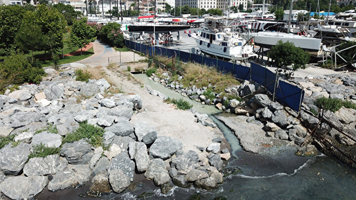 Kadıköy'de endişelendiren beyaz su: Sürekli hayvan ölüleri çıkıyor