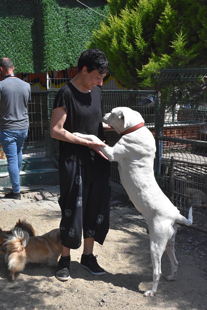 Can Bonomo�nun ablası 165 köpek ve 5 kedi ile yaşıyor Can Bonomo