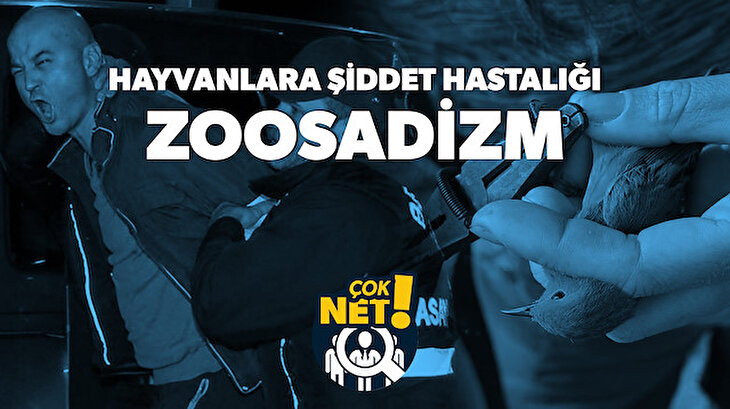Çok Net | At sırtından inip uçak koltuğuna oturmak: Hayvan hakları, Zoosadizm, Murat Özdemir