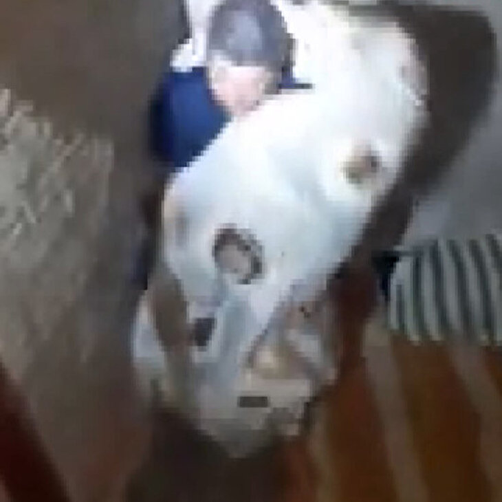 Örtü altında saklanan şüpheli polise kahkaha attırdı
