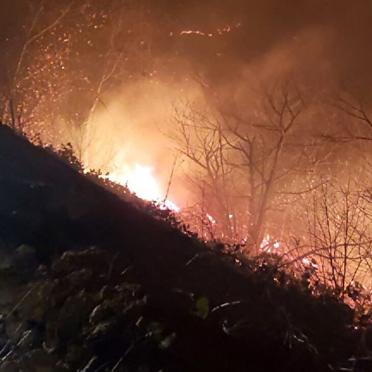 Karadeniz'de 26 noktada yangın çıktı, tarım arazileri zarar gördü