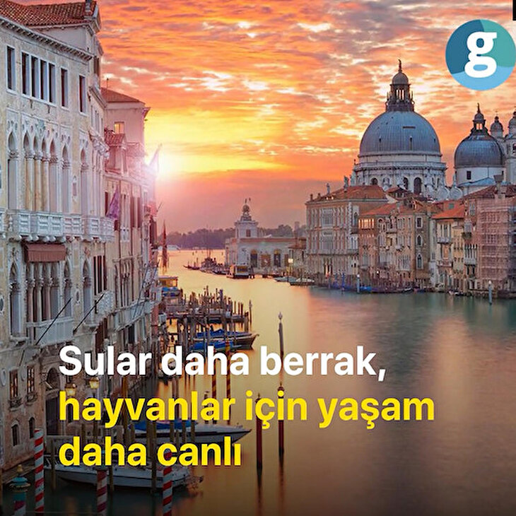 İnsanlar eve kapanınca doğada neler yaşandı?