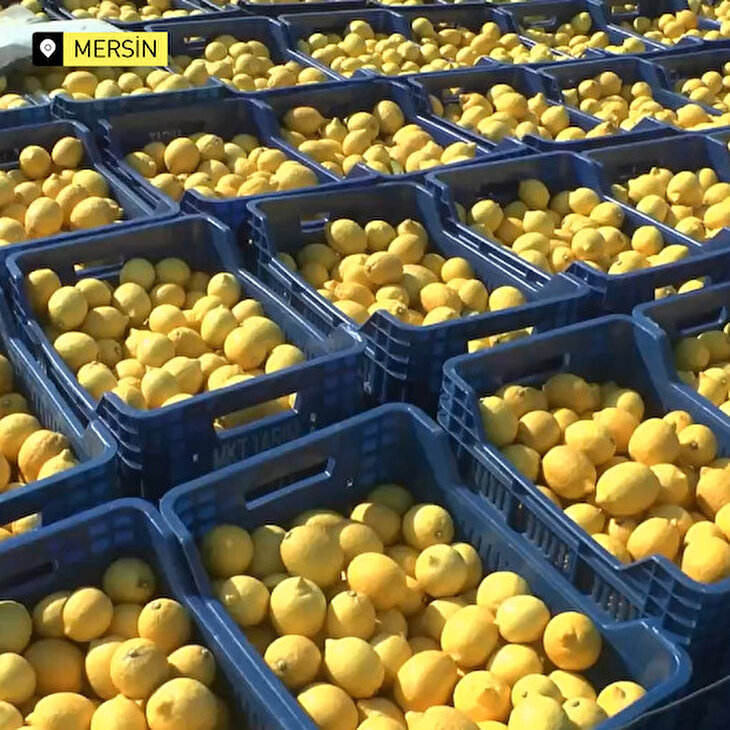 Korona salgını limon fiyatlarını fırlattı
