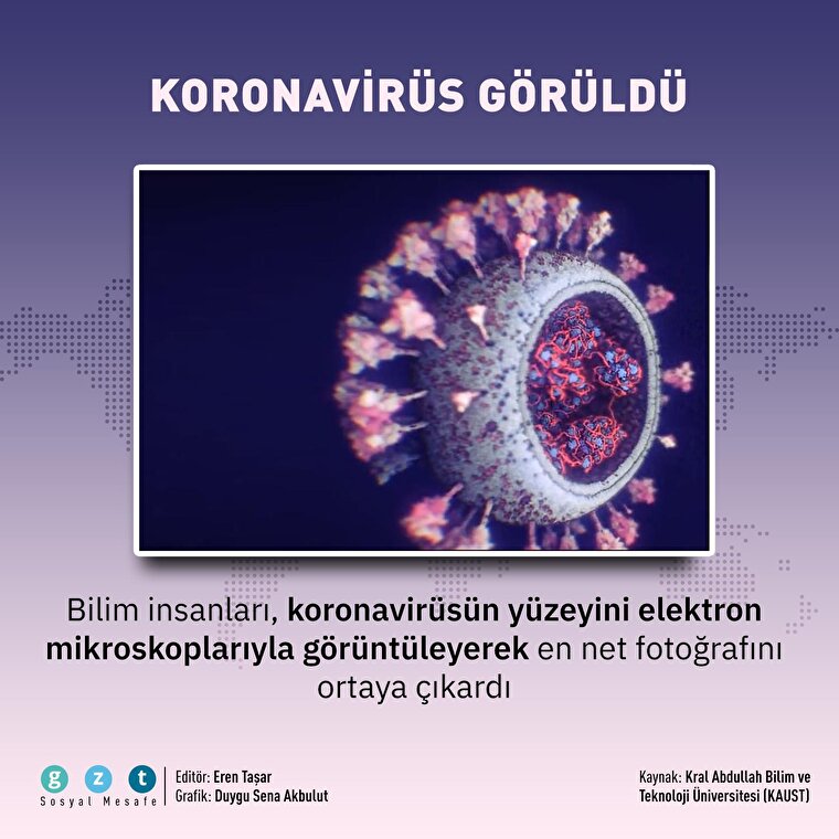 Koronavirüsün en net görüntüsü paylaşıldı