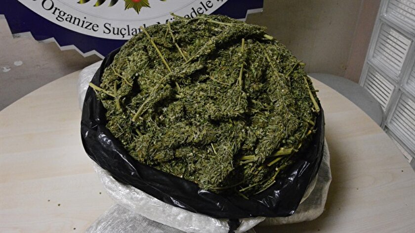 Otomobilde 9 kilo esrara 1 gözaltı