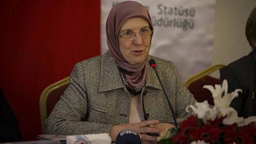 Bir Türkiye projesi