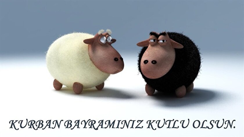 M1ov6tdijpbuam