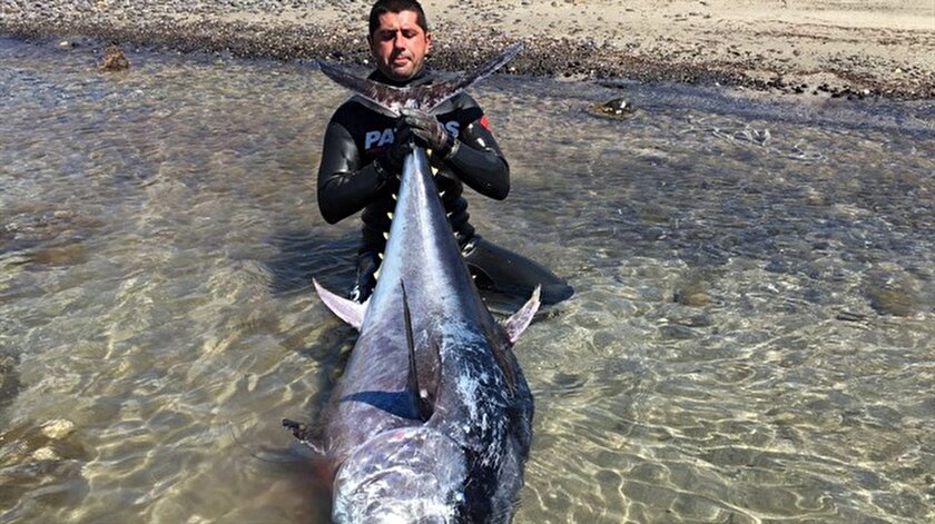 130 Kilo Baligi Tek Seferde Yakaladi