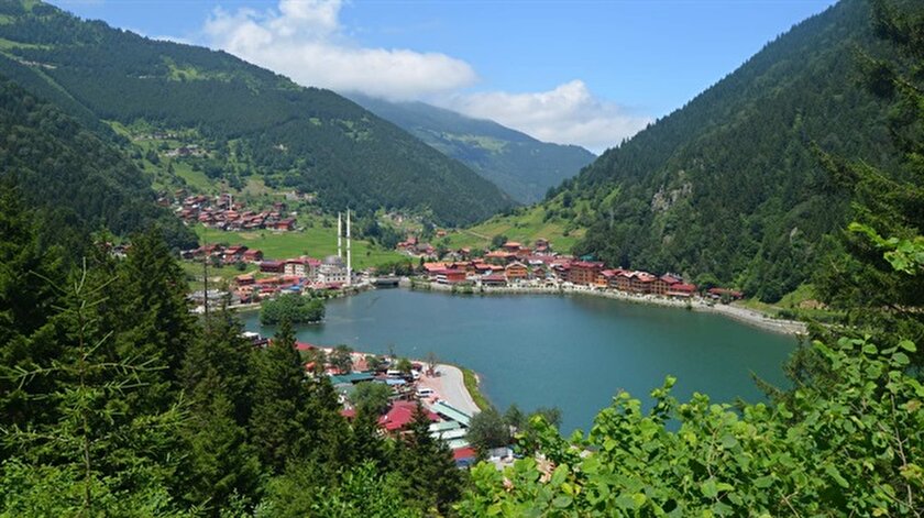 Karadeniz In Gozu Findikta