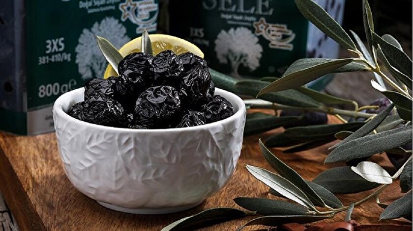 Marmarabirlik Domat Zeytin Fidani Dagitacak