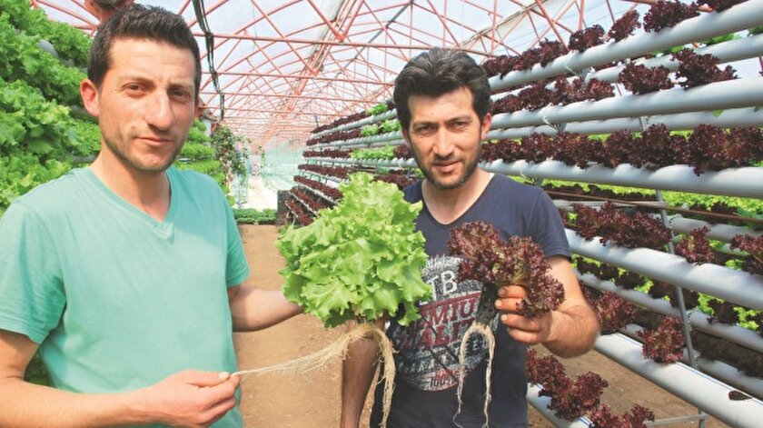 yeni safak