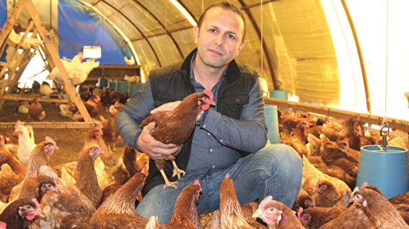 koy tavugubilmecesi yeni safak
